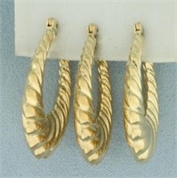 Scalloped Shrimp Hoop Earrings Set of 3 in 14k Yel