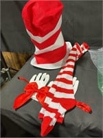 Cat in the hat costume