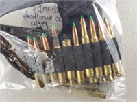 300 Weatherby Mag Ammo 18 Rounds