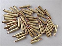 .250 Savage & .250 HP 45 Rounds