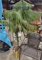 INDOOR PINE TREE