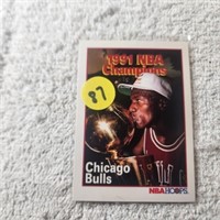 1991 Hoops 1991 NBA Champions Chicago Bulls