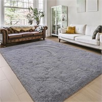 Soft Fluffy Rug Modern Shag Carpet, 5x7
