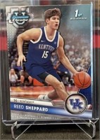 Reed Sheppard Rookie Kentucky Wildcats 2023-24
