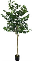 Moss & Bloom 6ft Artificial Ficus Tree in Planter