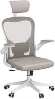 Ergonomic Office Chair With Lumbar Support &