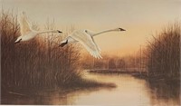 "Coming Home Swans" by Jim Michielsen