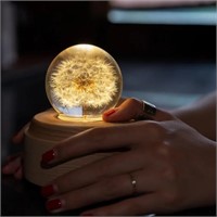 Crystal Glass Ball Dandelion Flower Led With Base