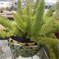 Large Colorful Flower Pot with Live Fern 16” w x12