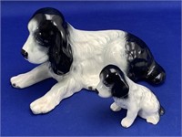 SylvaC Spaniel Dog & Pup