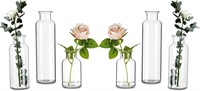 G727  Hewory Tall Glass Vases, Set of 6