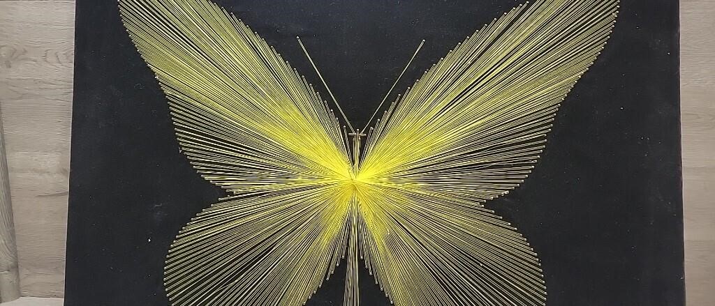 Butterfly String Art on Black Velvet