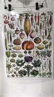 Laminated 2 Sided Fruits & Vegetables Poster U15E