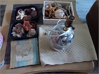 Box of nautical shells, starfish lamp and more.