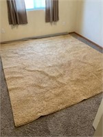 Yellow/ Gold area rug