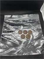 5 Indian head pennies