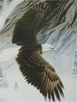1985 Marc Barrie Shannon Falls Bald Eagle 213/500