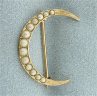 Antique Seed Pear Crescent Moon Pin Brooch in 14k