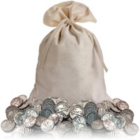 Canvas Bank Bag of 300 Walking Liberty Halves