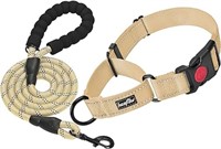 haapaw 2 Packs Martingale Dog Collar with Quick Re