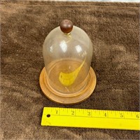 Pocket Watch Glass Display Dome