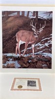 Charles Frace ‘Majesty’ buck print, #756/2500,