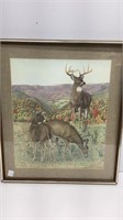 Thomas J Allen ‘ White Tailed Deer ‘ print,