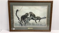 Charles Frace ‘Out on a Limb’ Raccoons,