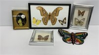 Vintage Taxidermy/mounted butterfly’s and moths,