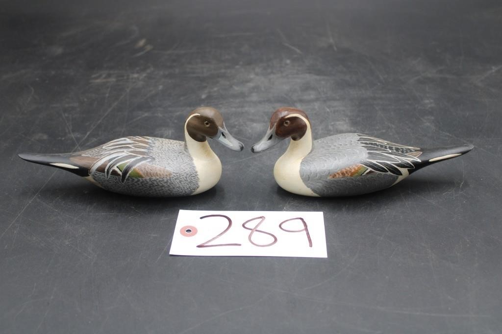 Large Waterfowl Decoy Collection, Fishing Rods & More!
