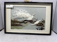 3D Feathercraft of two white peacocks near waters