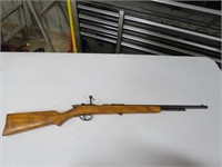 Stevens Bolt Action 22