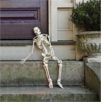 165cm Halloween Skeleton  Full Body Realistic Bone