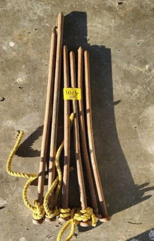 (6) TENT STAKES