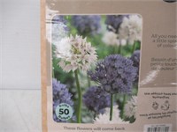 50-Pk Tasc Amplectens Allium Bulbs