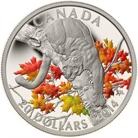 2014 $20 Cougar on a Maple Tree Colour
