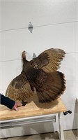 Flying Turkey Mount