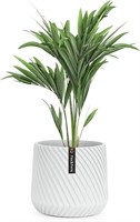 Fox & Fern Flower Pot  8 Inch Plant Pots Indoor  W