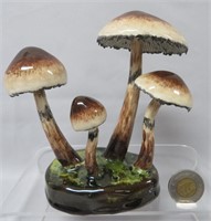 Lorenzen mushroom, Lacrymaria Lacrymabunda,