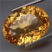 Natural Brazil Citrine 12.14 Cts Untreated