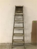 Werner Step Ladder