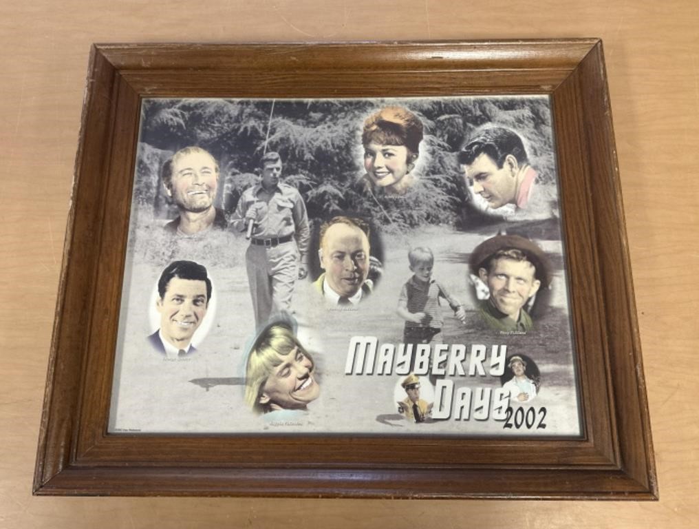 19.5 x 23.5" Mayberry Day 2002 framed picture