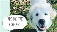 BIDDING INSTRUCTIONS: ARE YOU TAX EXEMPT?