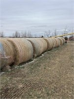 (40) bales barley/millet hay