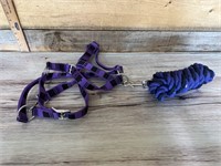 Halter and lead rope