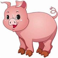 1/2 butcher hog - winner pays for processing -