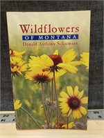 Wildflowers of Montana, Doanald Anthony Schiemann