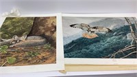 2 Art Wildlife pictures, ‘Gray Fox’ Artist signed