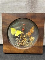 Vintage Wood Framed Dried Flower And Butterfly Wal