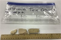 3 Mammoth Tusk pieces- found in Concordia Ks.